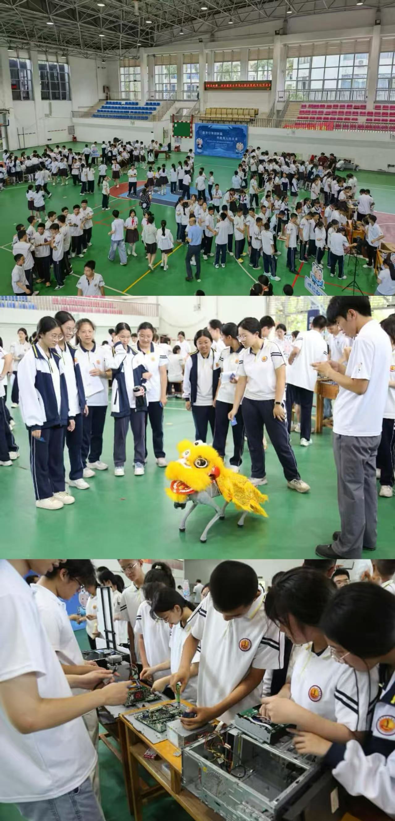 3044永利集团官网